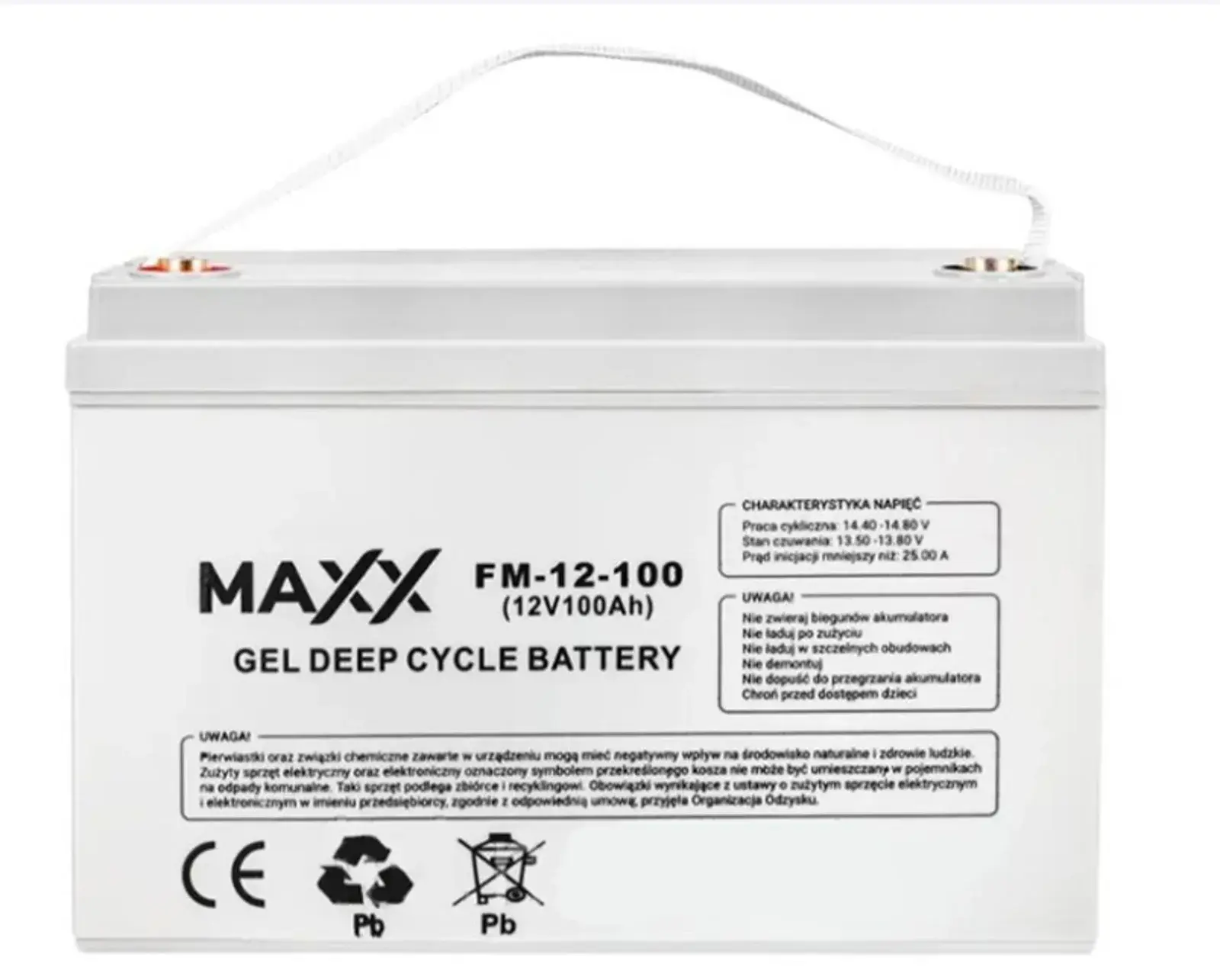 АКУМУЛЯТОР ГЕЛЕВИЙ 12V 100AH GEL DEEP CYCLE MAXX FM-12-100 173*218*331MM (ДЛЯ КОТЛІВ, СОНЯЧНИХ БАТАРЕЙ, ДБЖ, КЕМПІНГІВ..) (ЗЄДНУВАЧ- 12E0156V T ) B0001AKU68
